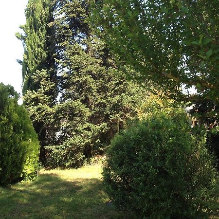 Il Belvedere Di Roccavo Villa คาสติญโญน ฟิโอเรนทิโน ภายนอก รูปภาพ